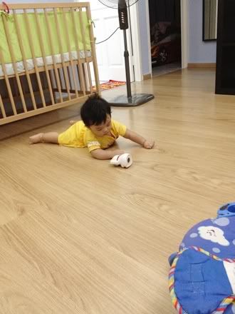 8เดือนแล้วคับ I am 8 months old today