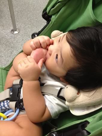 ของเล่นไหม่ รถเข็นไหม่ cilps vdo