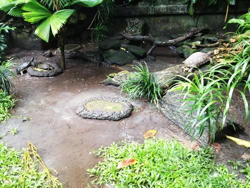 SG Zoo ณ สวนสัตว์