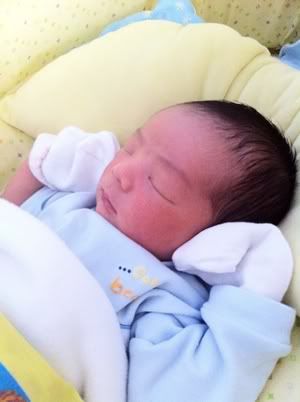 คลอดแล้วจร้า
