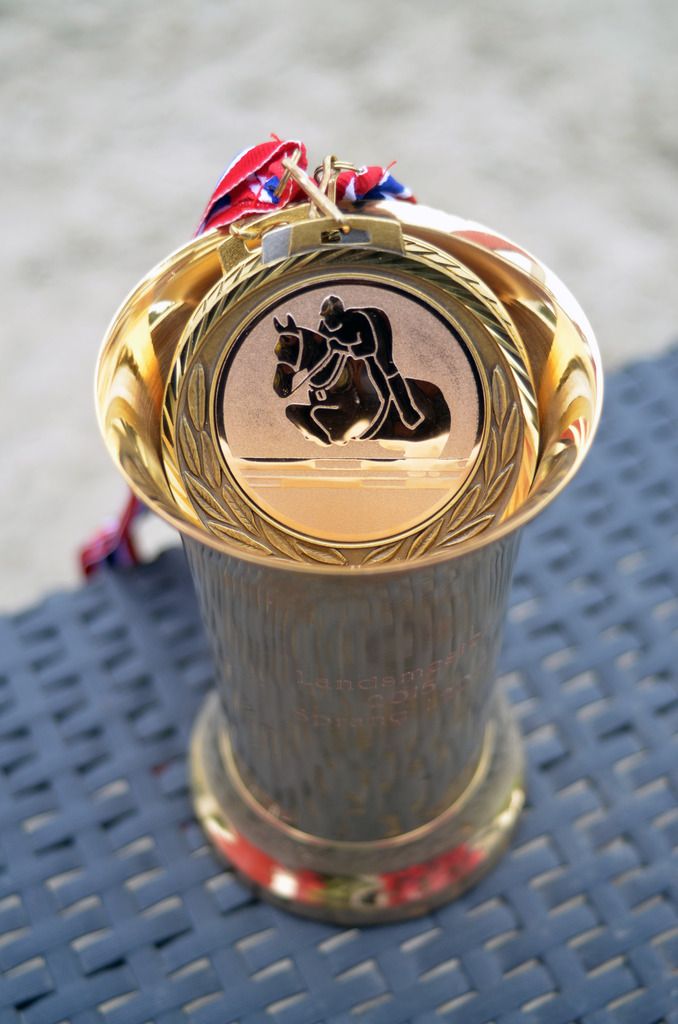 Landsmesterskap 2015 photo Landsmesterskap medalje og pokal_zpszopb92s2.jpg