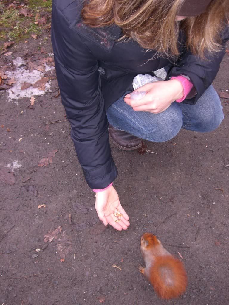 Feed the squirrel (c) gecko6366 le credit renouvelable favorise le surendettement