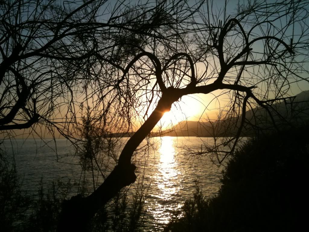 http://i927.photobucket.com/albums/ad113/miss-ficelle/sunshine/Frontera204.jpg?t=1258598696