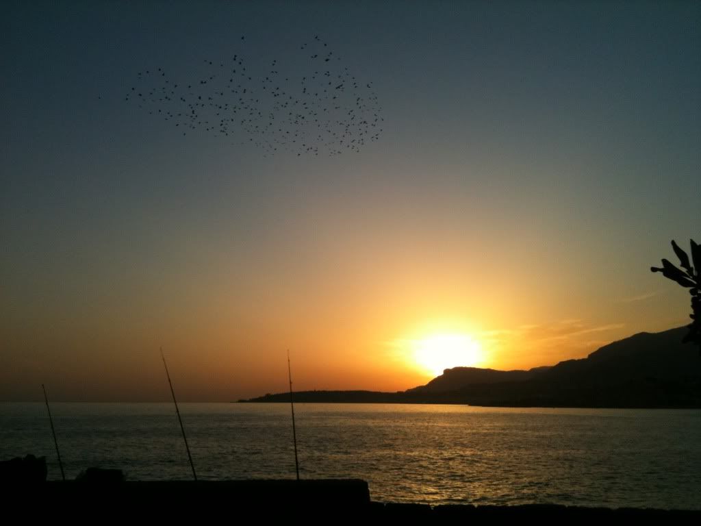 http://i927.photobucket.com/albums/ad113/miss-ficelle/sunshine/frontera172.jpg?t=1258598704
