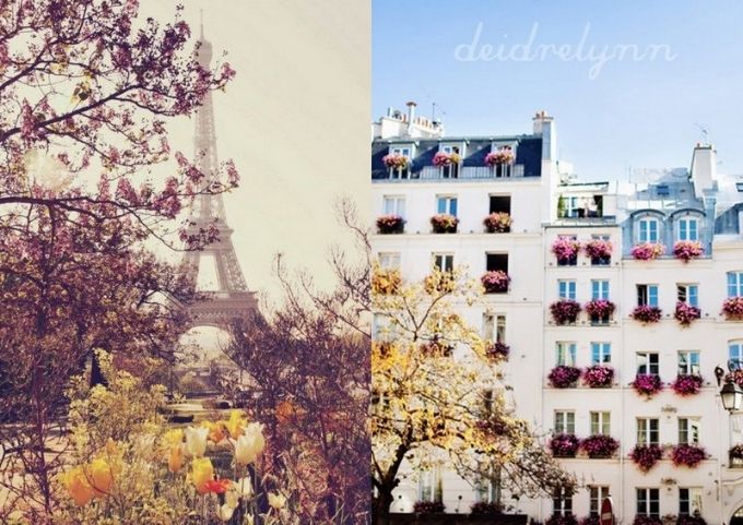  photo 04c654aa-364e-4f96-9a2f-6eee7f03d951.jpg