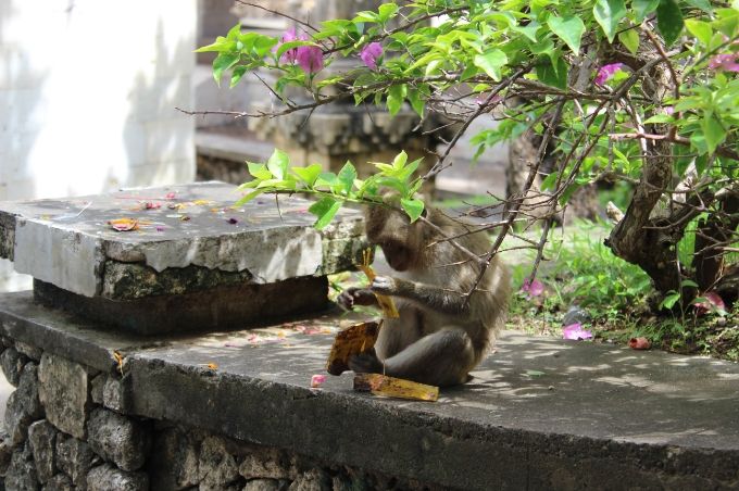 photo 0e5f4792-d51b-466a-9155-1ccff8a22b04.jpg