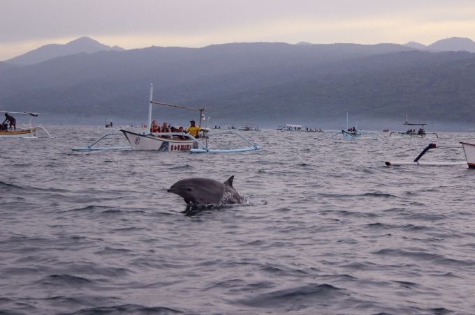 photo 0f052bcf-a0c8-4763-961e-3c506e088aa0.jpg