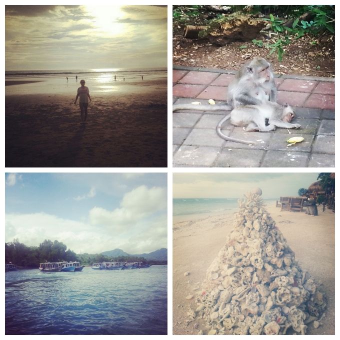  photo 30f7270c-07dd-4793-8cfd-4ec91206a842.jpg