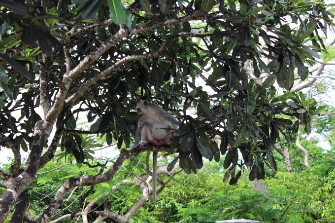 photo 31855d9a-1d60-4083-aa14-7b1af10e47b2.jpg