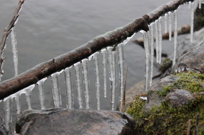  photo 56b02c74-736e-484e-bf06-15df3c729c98.jpg