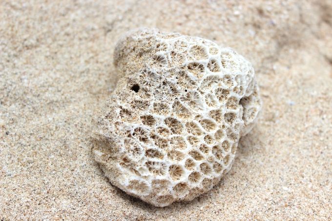 photo 5774f3cb-f7aa-4762-84be-3f9d53eec443.jpg