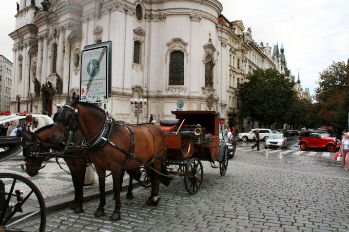  photo 640381e9-7848-4c97-be13-a947ee4cdbd2.jpg