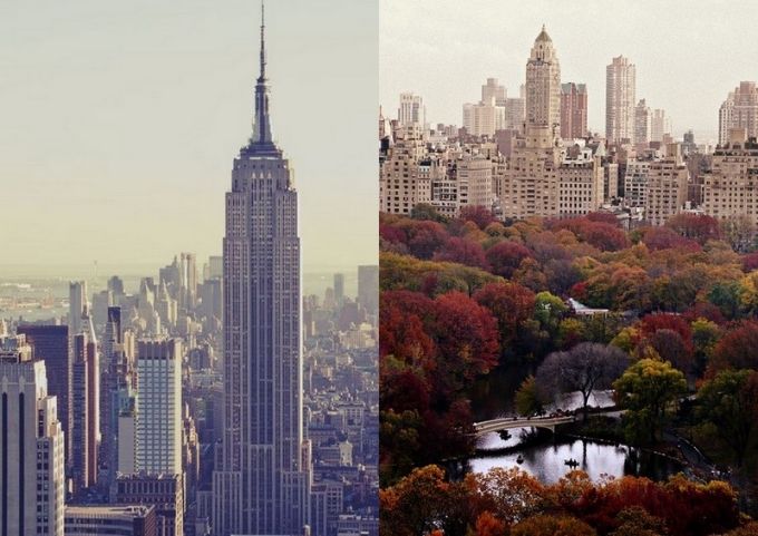  photo 8641c9f5-87f9-4371-8508-a0aa42f1f3b8.jpg