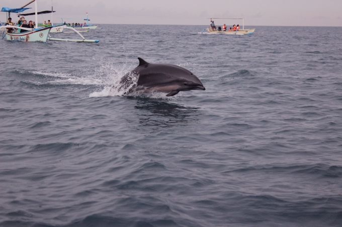 photo 90f378a4-b1cc-43ac-89dc-948ac481af42.jpg