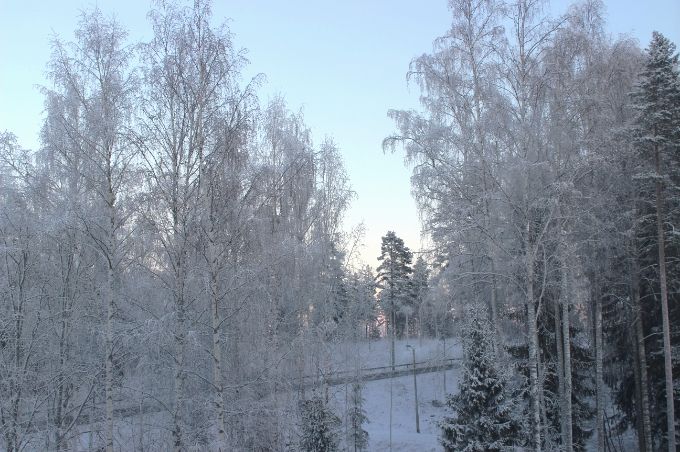  photo 9108de61-b319-465e-a0bf-6e82b2f8e83e.jpg