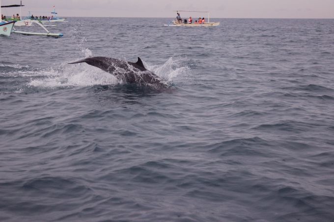 photo 9ed79d73-b848-4ab8-b84b-cedaba954b99.jpg