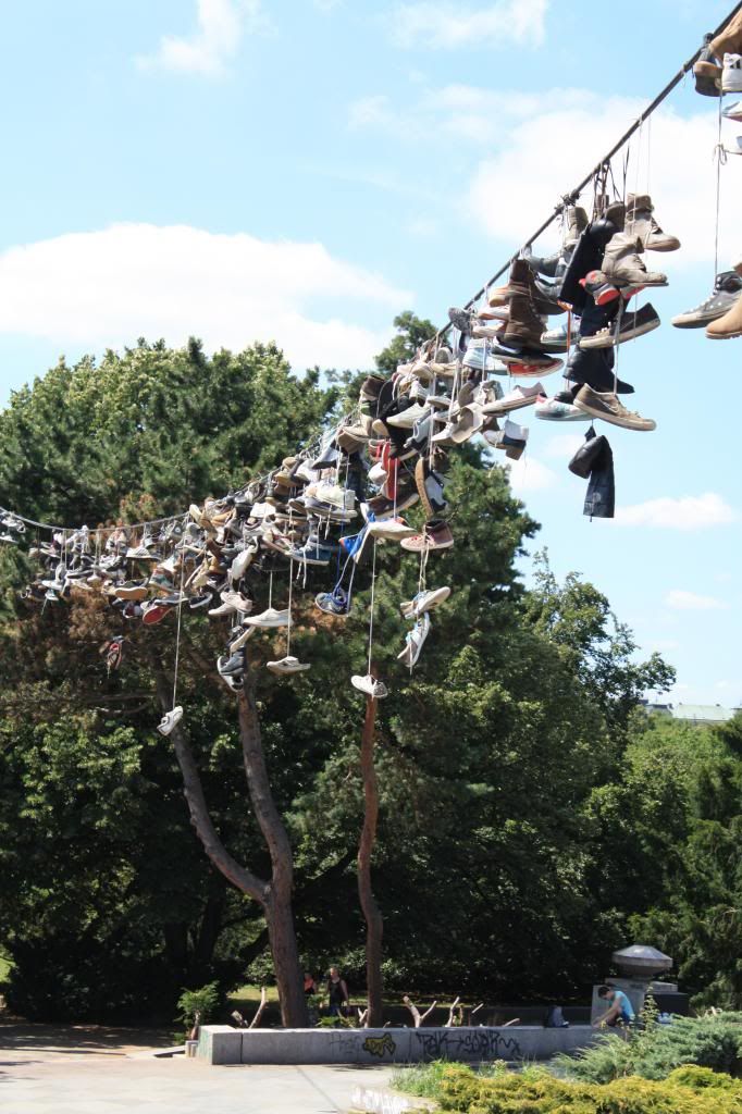  photo IMG_2603-3.jpg