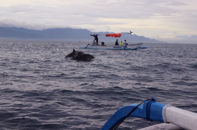 photo a6f5d5f2-f6d1-4e57-bee7-be49590f1981.jpg