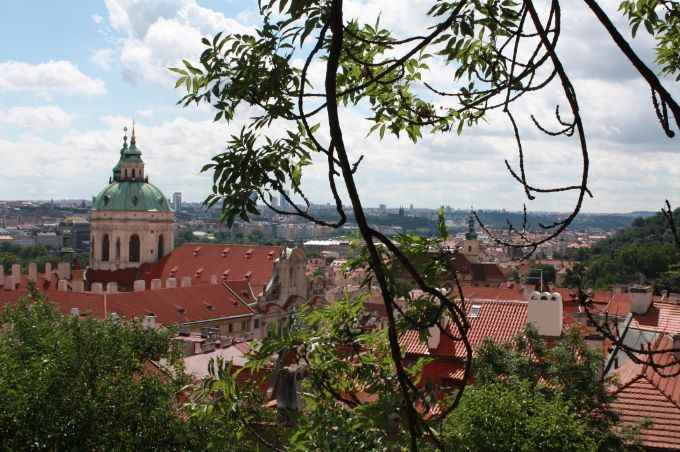  photo a846aa29-49d7-4c81-90b7-73f5c21bb4bf.jpg