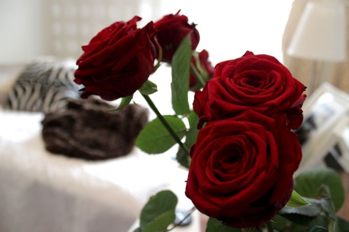  photo a9c96a6f-fd57-49e6-98c3-34e8855ca1e1.jpg