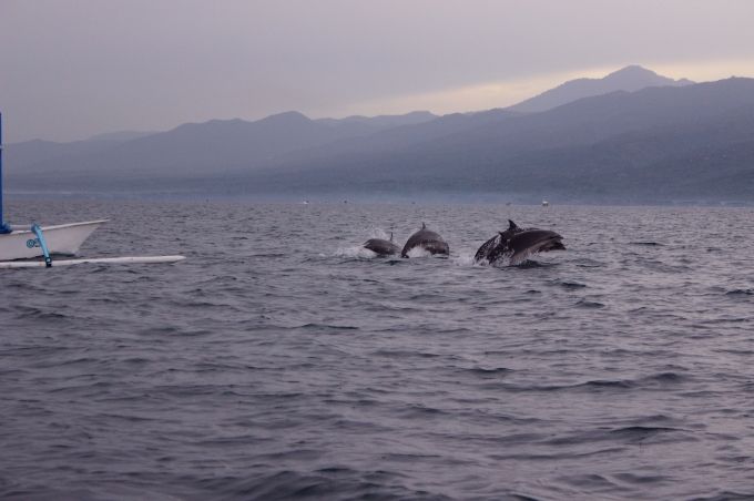 photo bab6ca12-073f-443e-beba-6ebff2eed25d.jpg