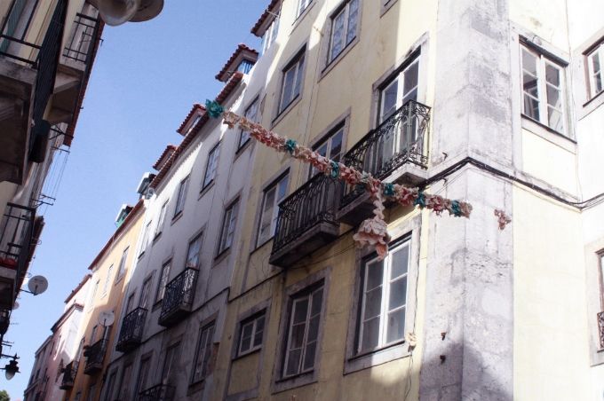 photo 288ccd4d-ecac-4750-81c0-cdd2c44493ad.jpg