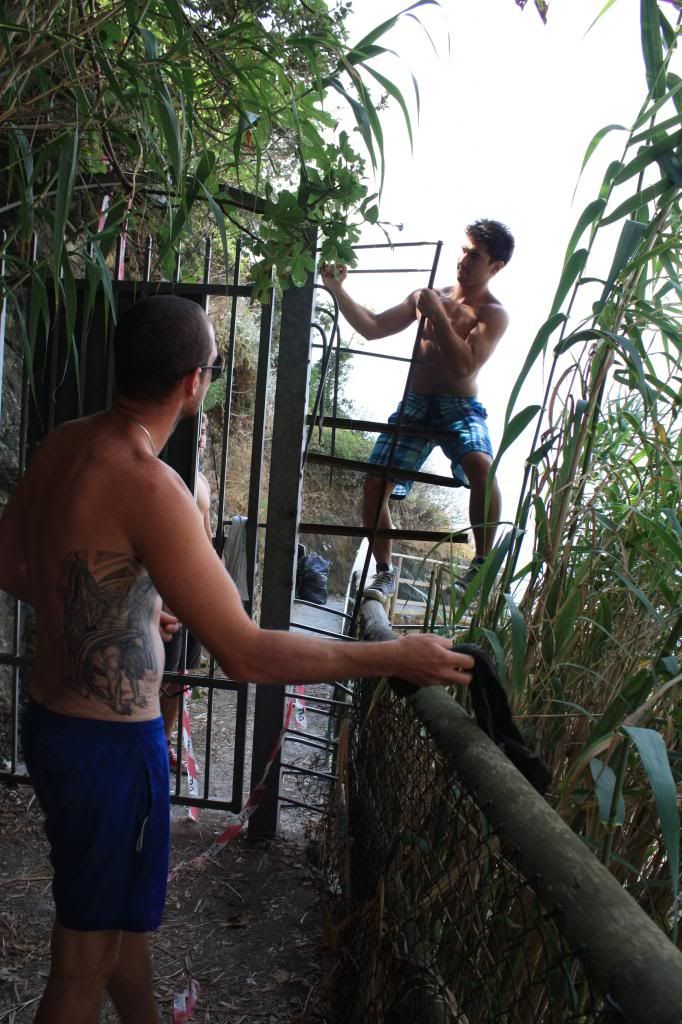 photo 38d2adf5-0dc7-45d2-90b1-c77b4c26b27f.jpg