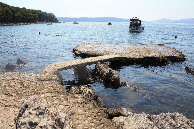 photo 572374ee-431f-4789-ade2-be503e50dbe2.jpg