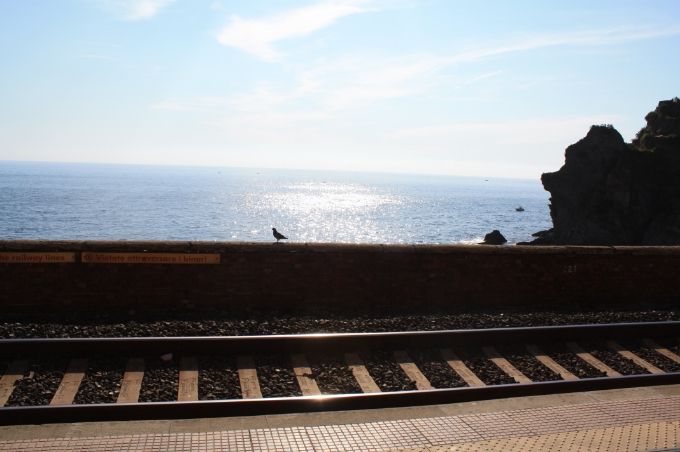 photo 6ea44b9b-5906-44b8-a041-9a4beaace919.jpg