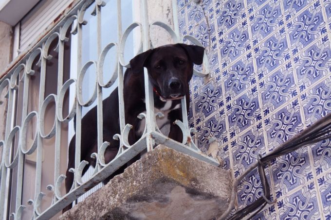 photo 71487a1c-df13-4ec8-85f0-4301796ec7d7.jpg