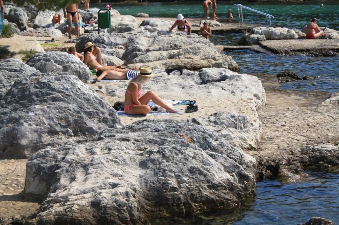 photo 90969737-1549-4454-b7a9-21dd949b6524.jpg