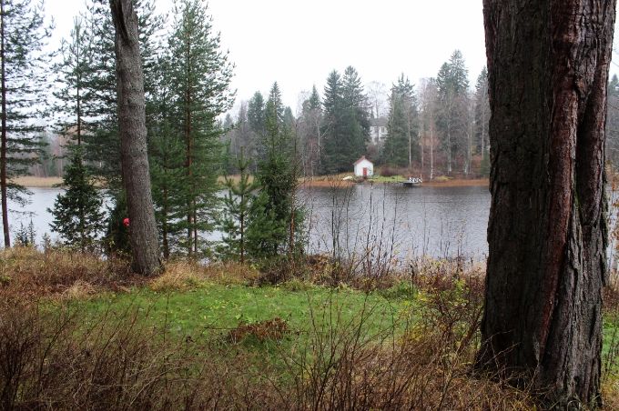  photo 9d7c5dc1-fc43-41ca-acbd-8b65fa843de9.jpg