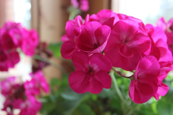  photo da8c7ccc-ee2e-4006-b115-5c1812e5c4be.jpg