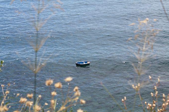 photo dcdaf9e1-5a60-48a1-824a-0d401d056082.jpg