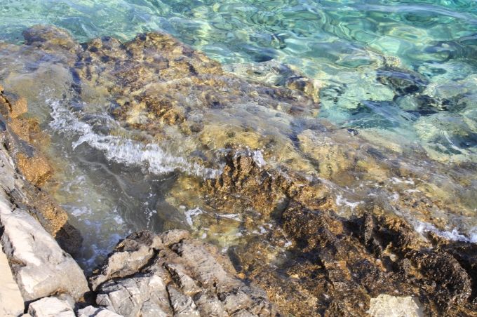 photo e578d698-f05a-4606-a898-97ad672659ed.jpg