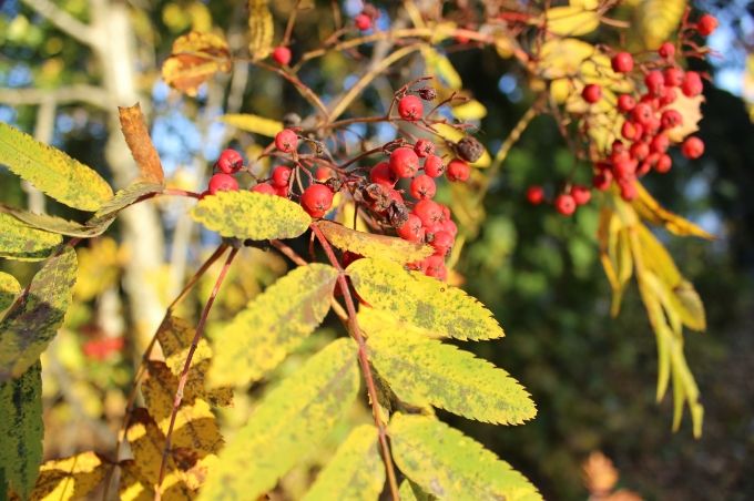  photo eed84e06-f1f3-476c-b199-668d16f45d9f.jpg