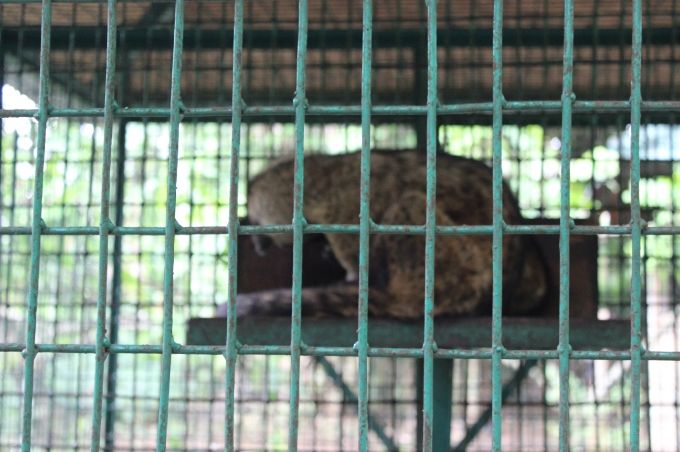  photo cc892951-5b2f-4f7b-929b-270ab659a52c.jpg