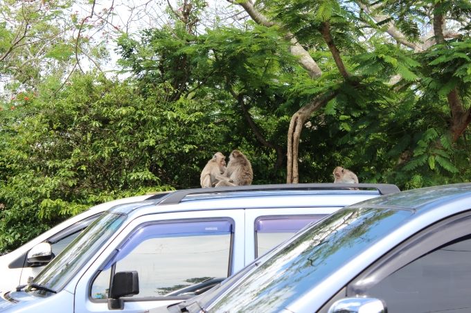 photo f901e775-6f4e-46cb-8776-99d1c96f4fcb.jpg