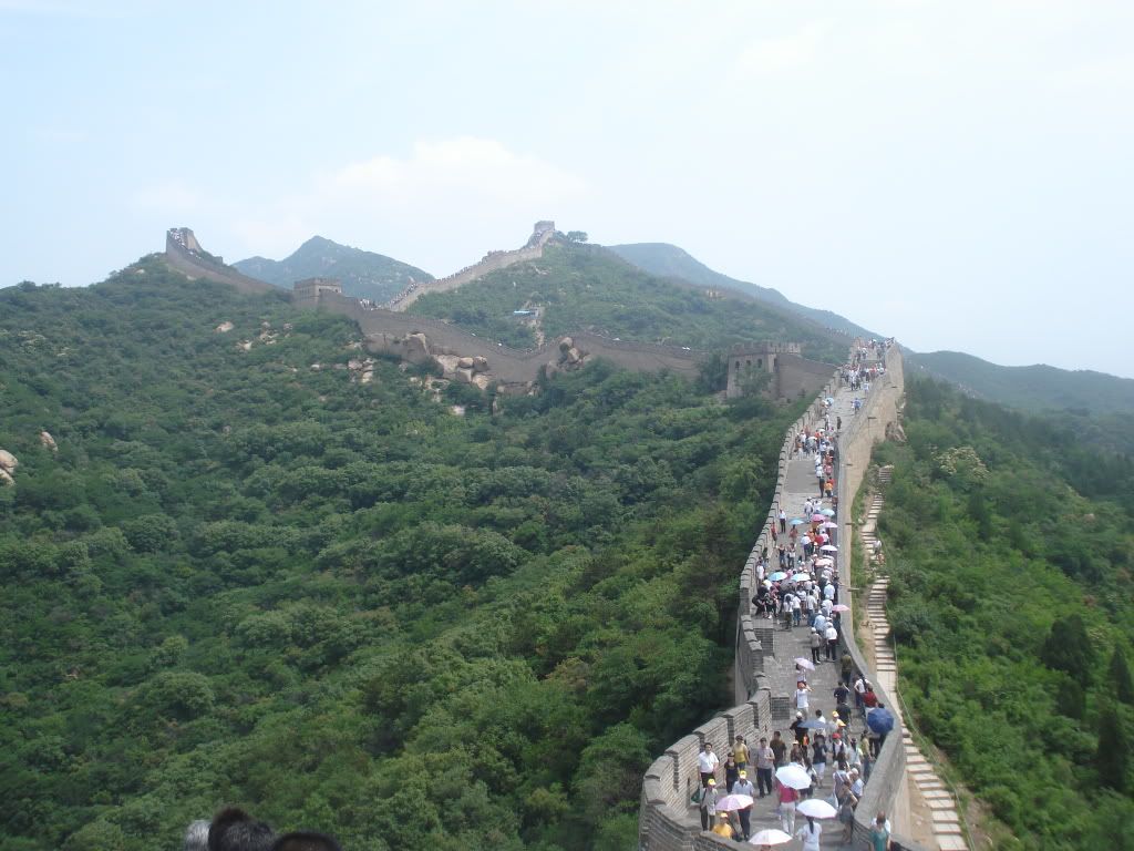 cina2008156.jpg